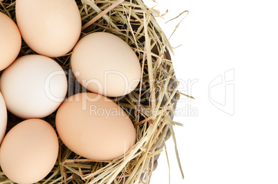 Eggs closeup