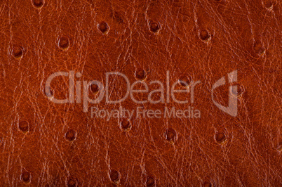 Leather texture background