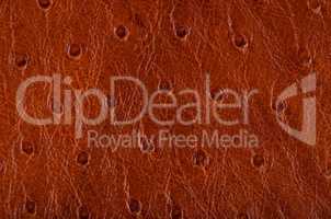 Leather texture background