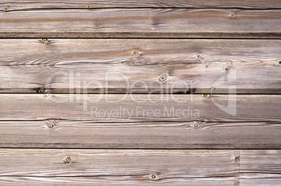 Wood texture