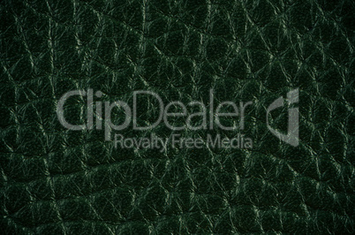 Green leather