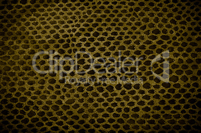 Snake Skin Leather Texture