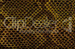 Snake Skin Leather Texture