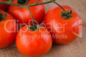 Cherry tomatoes vine