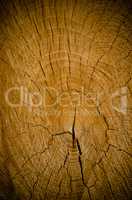 Crack wood spiral