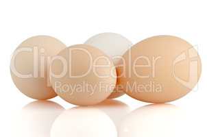Four eggs on white
