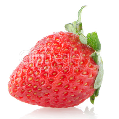 Fresh strawberry