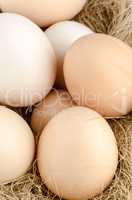 Eggs closeup