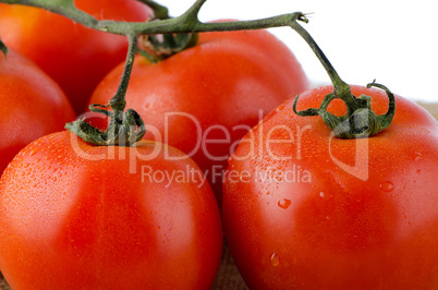 Cherry tomatoes vine