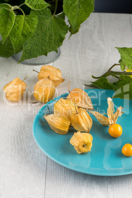 Physalis fruits