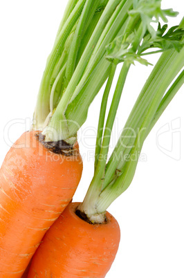 Fresh carrots