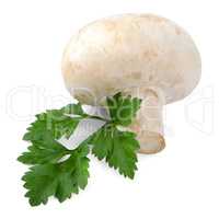 Champignon mushroom and parsley leaves