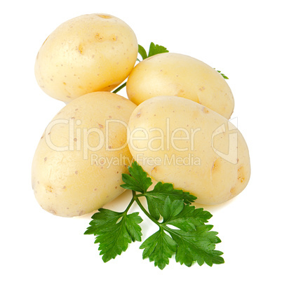 New potato and green parsley