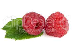 Ripe red raspberry