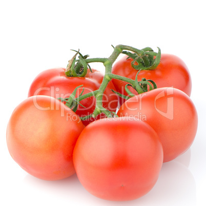 Red ripe tomato