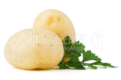 New potato and green parsley