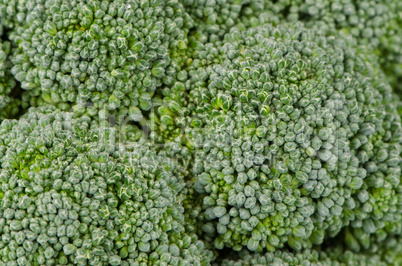 Brocolli background