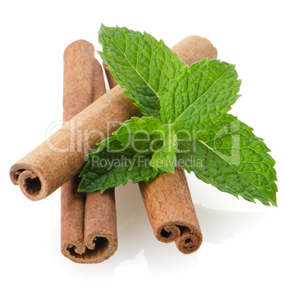 Cinnamon sticks