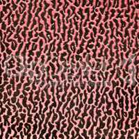 Abstract leather texture closeup