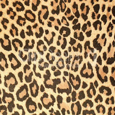 Leopard leather pattern texture closeup