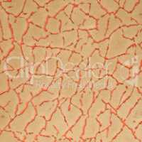 Abstract leather texture closeup