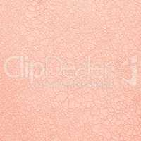 Pink leather texture
