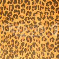 Leopard leather pattern texture closeup