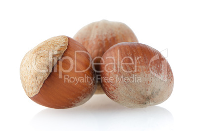 Three hazelnuts