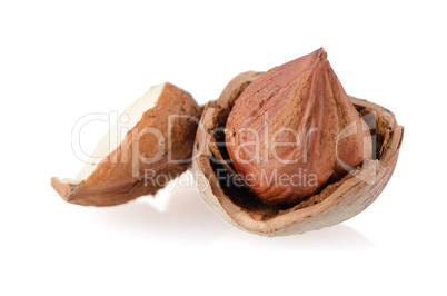 Tasty hazelnuts