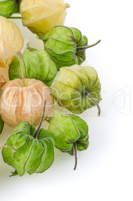 Physalis fruit