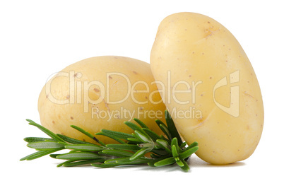 New potato and green parsley