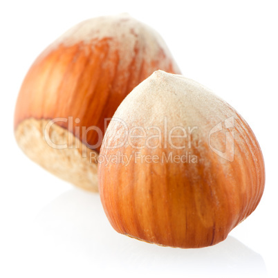 Three hazelnuts