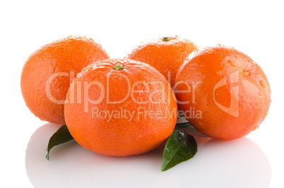 Fresh orange mandarins