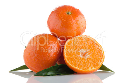 Fresh orange mandarins