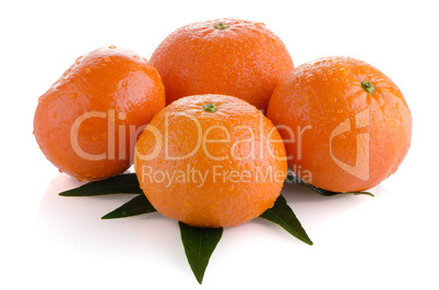 Fresh orange mandarins