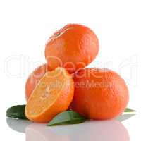 Tangerines