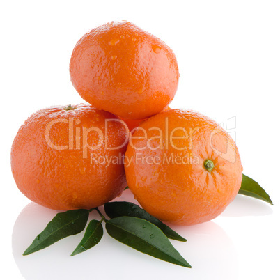 Tangerines