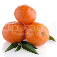 Tangerines