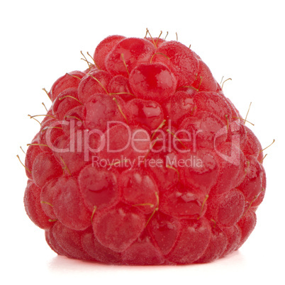 Red raspberry