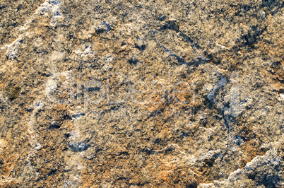 Rock texture surface