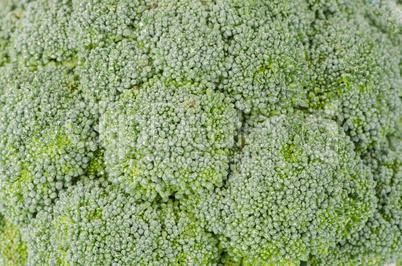 Brocolli background