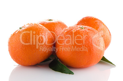 Ripe tangerines or mandarin