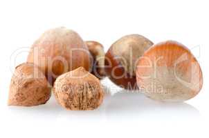 Fresh hazelnuts