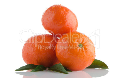 Tangerines