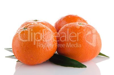 Ripe tangerines or mandarin