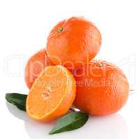 Tangerines