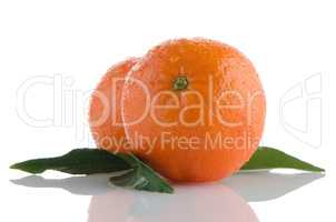 Fresh orange mandarins