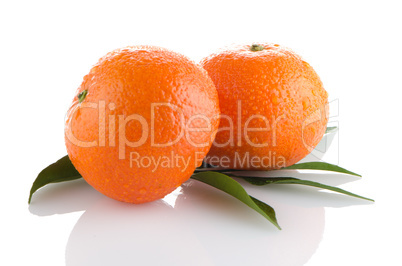 Fresh orange mandarins