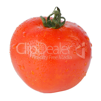 Fresh red tomato