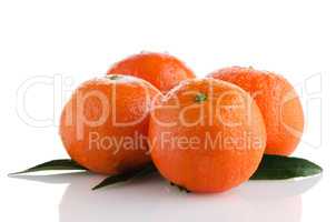 Ripe tangerines or mandarin